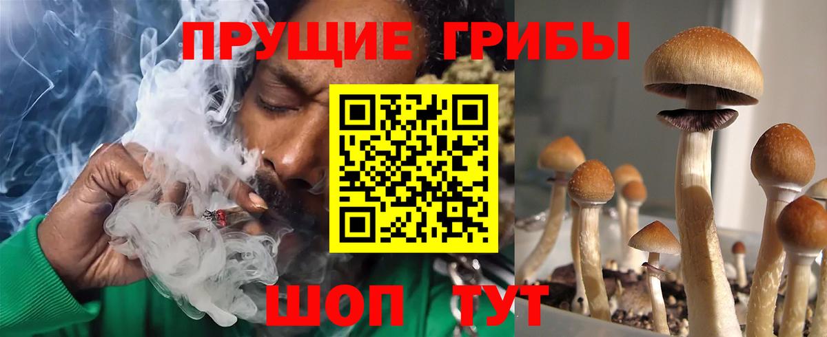 Галлюциногенные грибы Magic Shrooms Нарьян-Мар